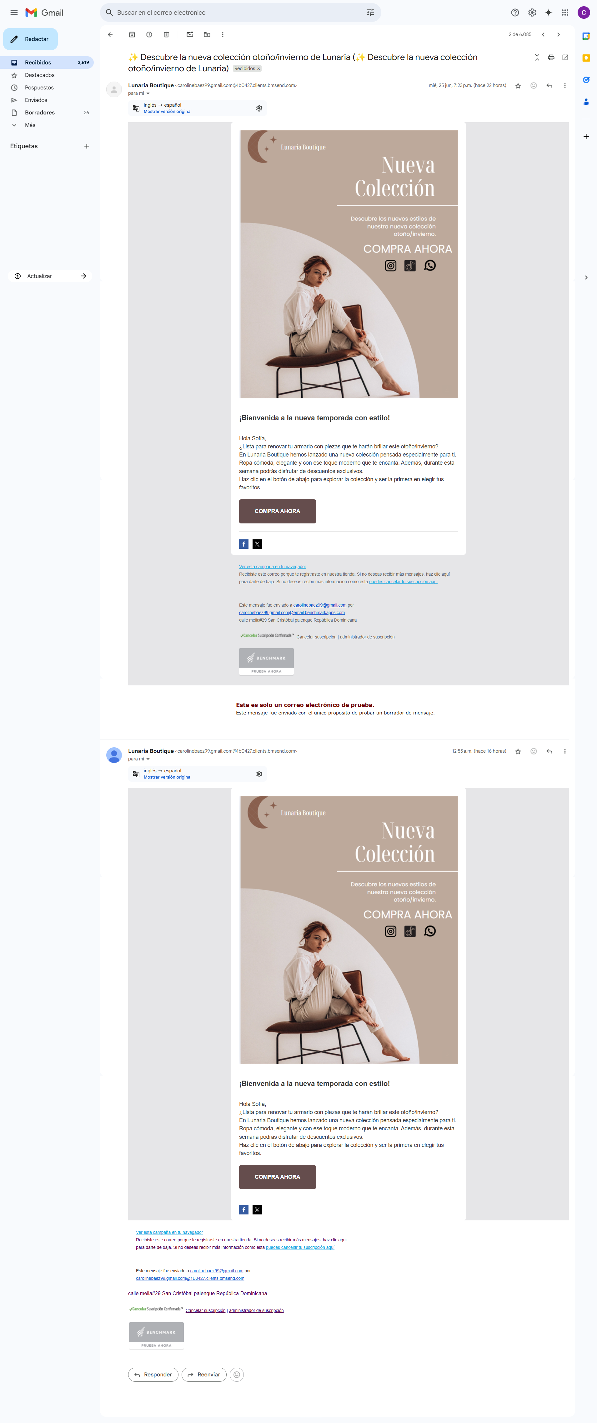 Vista previa del email